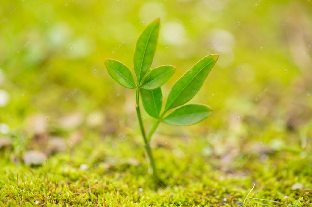 北京欣佰科生物科技有限公司